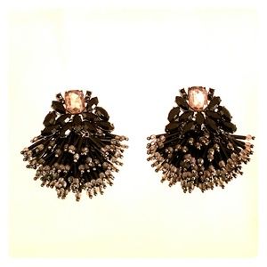 Black Beauty Earrings